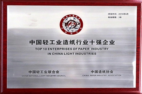 中國輕工業(yè)造紙行業(yè)十強(qiáng)企業(yè)